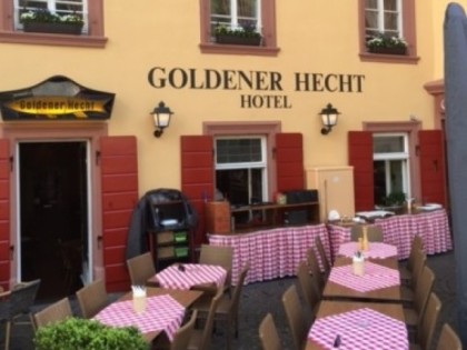 Photo: Goldener Hecht